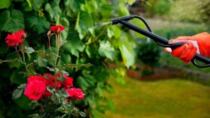 Banish pesticides from your gardens