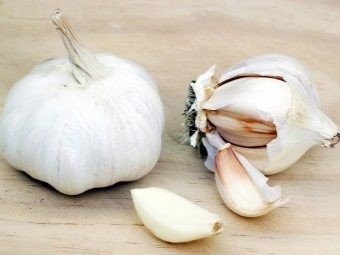 Garlic по английскому