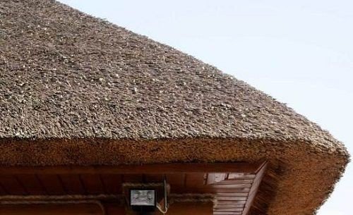 Крыша из камыша