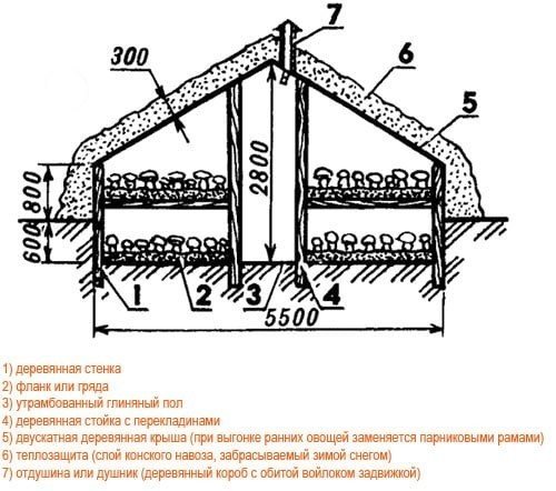 Схема помещения для выращивания шампиньонов