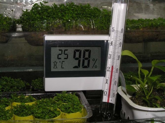 Прозрачный электронный термометр для аквариума