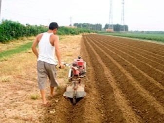 Нарезка гребней для посадки картофеля культиватором