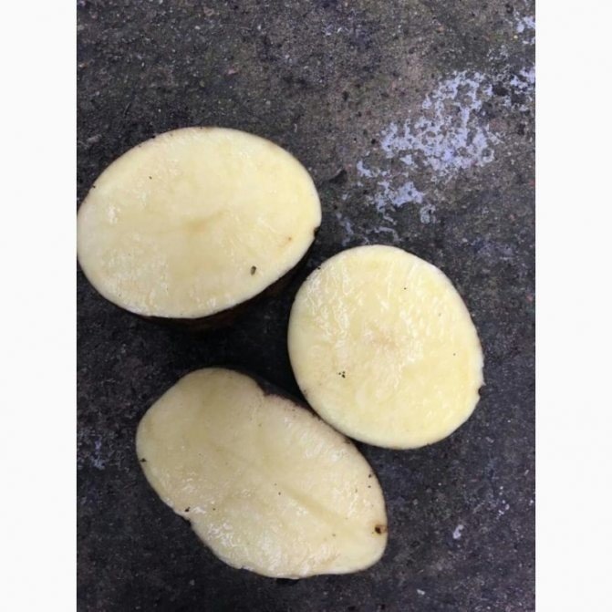 Очищенный картофель