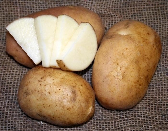 Москворецкий сорт картофеля
