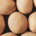 Сорт картофеля Молли: описание и характеристика, отзывы