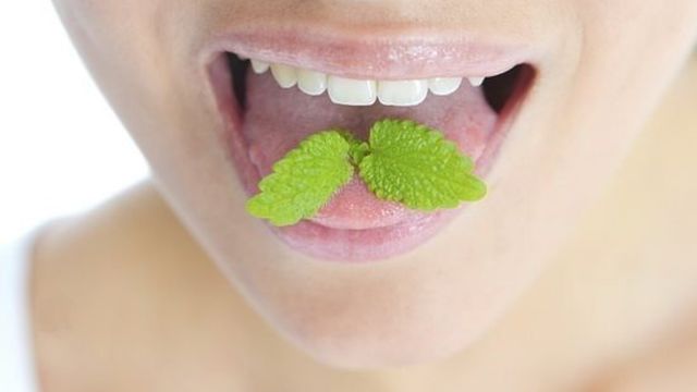 Как убрать запах лука изо рта: народные способы и аптечные препараты