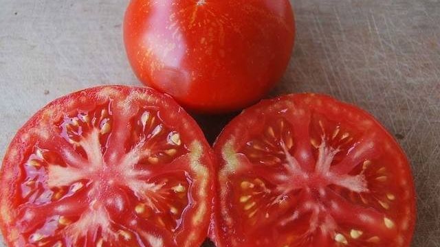 Когда сажать томат вспышка