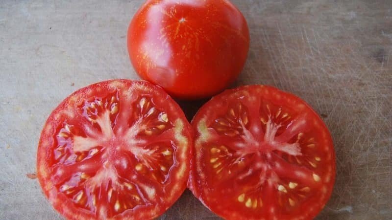 Седек томат вспышка
