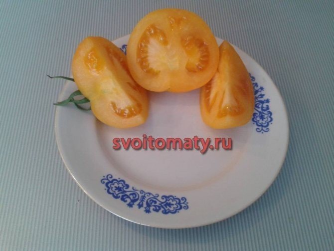 Сорт помидор апельсин