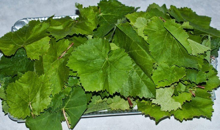 Виноградные листья для долмы