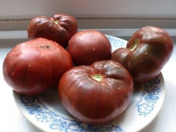 Чёрные помидоры сорта