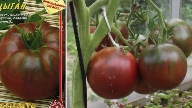 Томат Улыбка розы: отзывы об урожайности, фото помидоров, описание сорта и характеристика