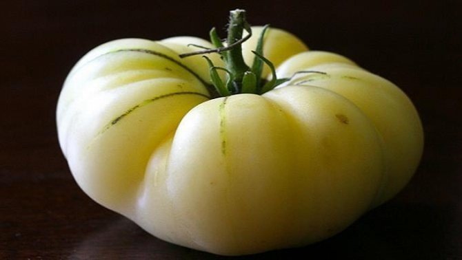 White tomesol tomato