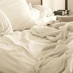 Описание и избавление от постельных клещей