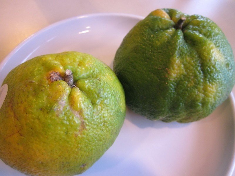 Зелёный мандарин фрукт