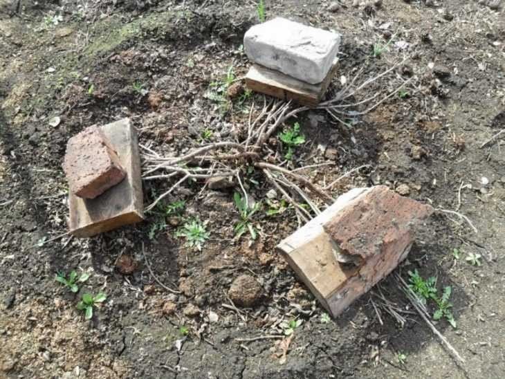 Киев разломанная могила неизвестного солдата