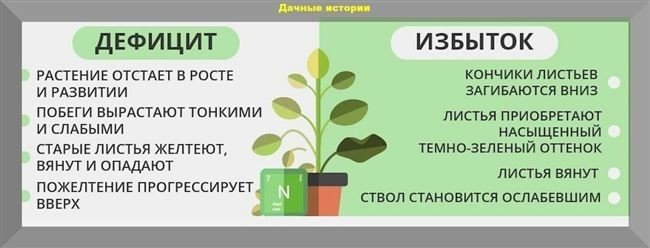 Недостаток и избыток азота у растений