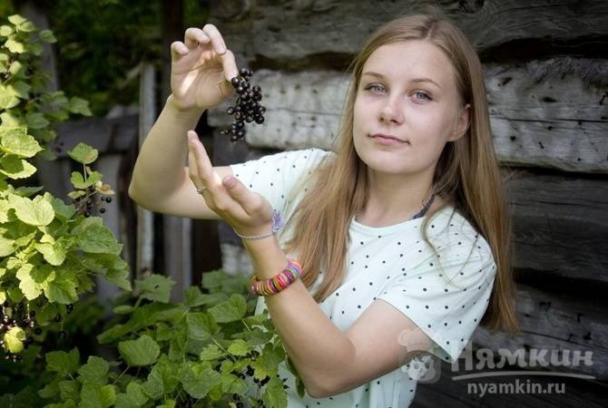 Девочка с виноградом