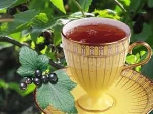 Ароматный чай из листьев смородины