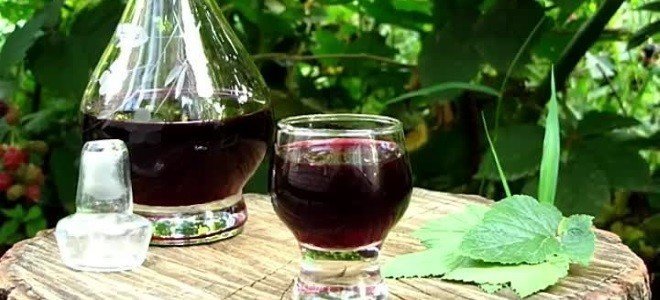 Настойка на листьях черной смородины на спирту