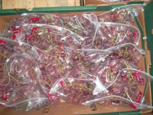 Виноград в пакете