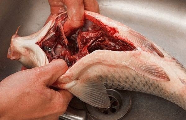 Рыба карпики чистить потрошить?