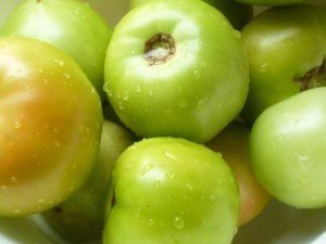 Сорт зеленых помидор для засолки и консервирования
