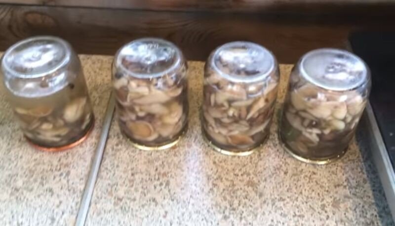 Маринад для грибов на зиму маслята