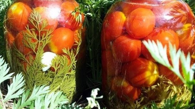 Помидоры с морковной ботвой на зиму